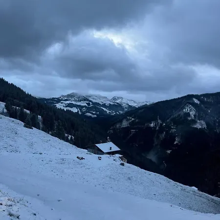 シャレー Almchalet Steinbergkogel ヨッホベルク